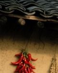 【晓荷·小事】升洲村的蒜香（散文）