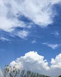 【酒家】夏云少雨又立秋（散文）