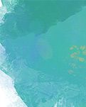 【东北】最后的桃花源