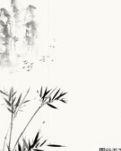 【东篱】蔷薇的美（散文）