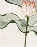 【东篱】李白的题字和乾隆的奶茶（散文）