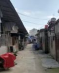【东篱】小院琐记（散文）