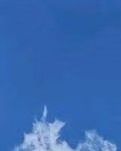 【丁香·花香】站在秋天的隘口（散文）