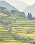 【西风】土地庙记（散文）
