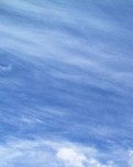 【绿野·秋】罕至的漠北沙霜（诗歌）
