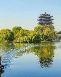 【萌芽】牵牛花、爬山虎和钻天杨（寓言）