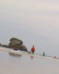 【绿野·秋】海南啊我的海之南（诗歌）