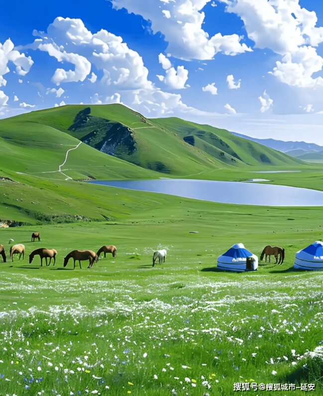 【酒家】韭花酱里的旧时光（散文）