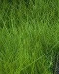 【阳光】团鱼瞅蛋(小说)