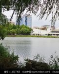 【江山·风景线】【酒家】 忆而立之年求学路（散文）