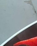 【江山·风景线】【晓荷】我爱小龙虾（散文）