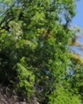 【文韵•光】山谷（散文）