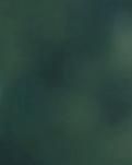 【江山·风景线】【诗韵】贺新郎·彼岸花（古韵外二首）