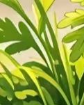 【柳岸】端午的告别与怀念（诗歌）