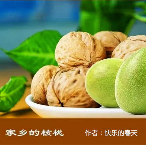 【柳岸】家乡的核桃（散文）