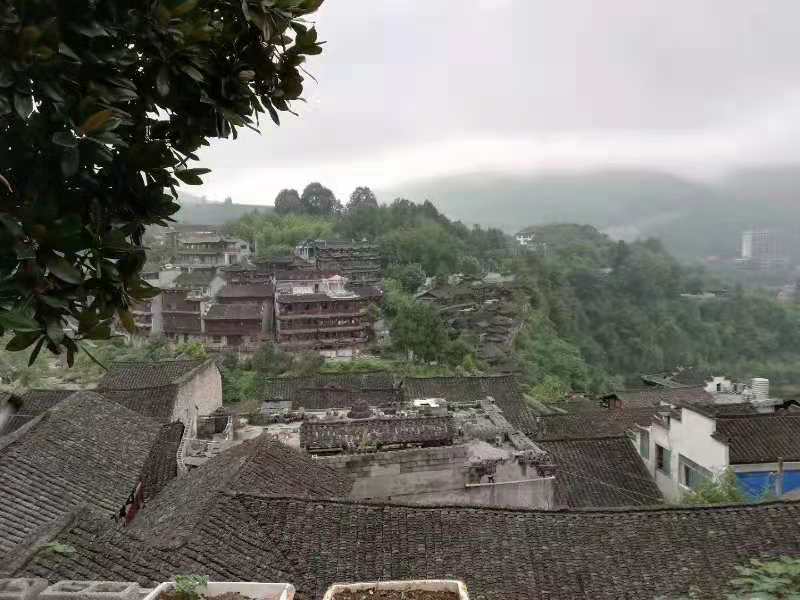 【丁香】水墨丹青画芙蓉（散文）