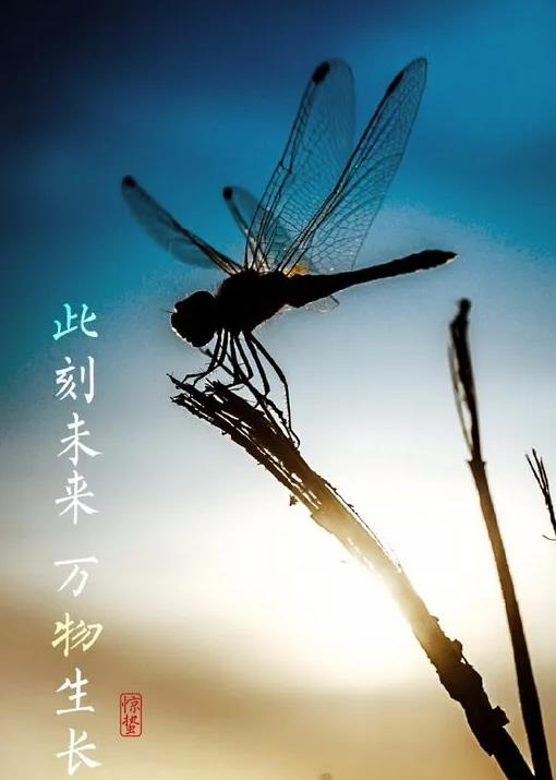 【流年·痕】惊蛰（征文·外三首）