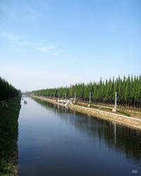 大濉河，美丽的河（散文）