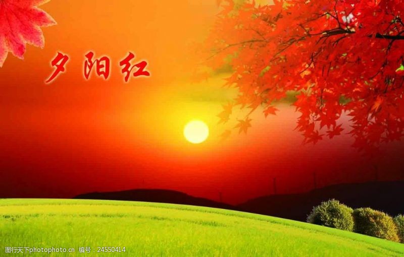 【八一】金色年华，奋斗青春（随笔）