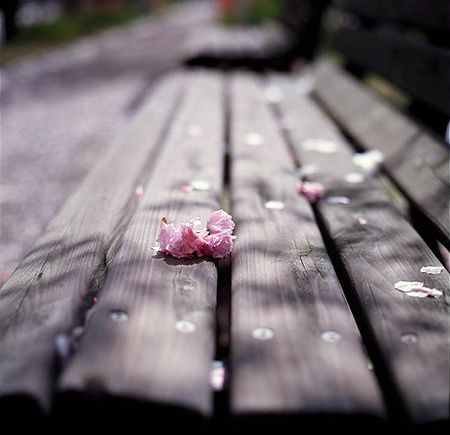 【流年】雨在下（中篇小说）