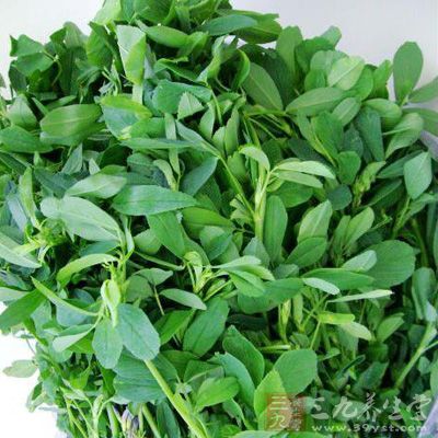 【丁香花语】一把苜蓿菜（散文）