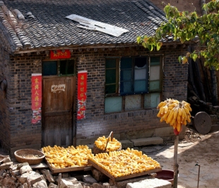 【晓荷·心愿】远去的农家小院（征文·散文）