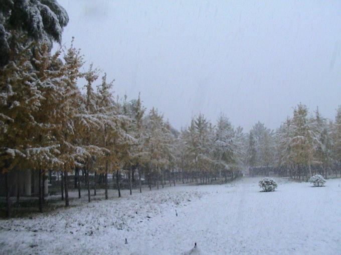 【星月忆】雪花飞舞忆流年（散文）