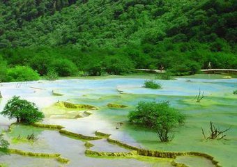 【荷塘“夏日风情”征文】川西印象（散文）