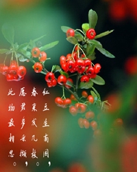 两地相思，红豆红（外二章）