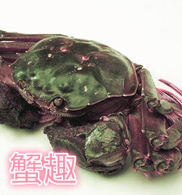 【柳岸•暖】蟹趣（散文）