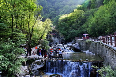 【八一】登太白山（散文·家园）