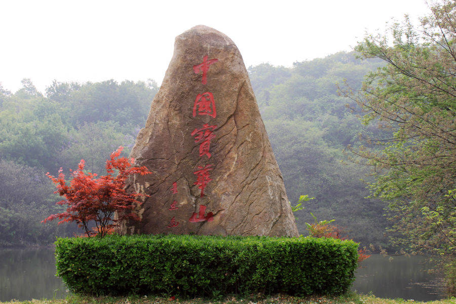 【流云】三访华宝山（散文）
