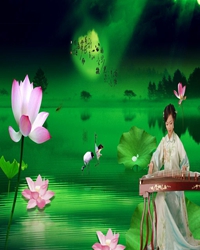 一季风拂过，柳绿花红
