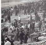 【柳岸】风雨云开见明月（散文）