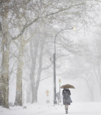 【流年·雪】流年里的四场雪（征文·散文）