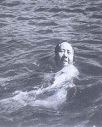 再读毛泽东《水调歌头·游泳》