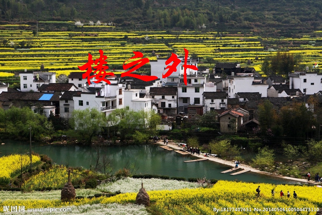 【丁香花语】楼之外（散文）