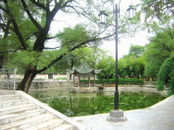 游灞陵桥公园（游记）