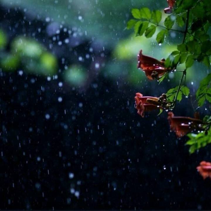 【清韵】一场雨的演义（组诗）