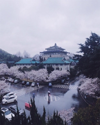 【报告文学】在武大听名师讲课