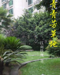 【看点】读《青青芳草地》祭奠我们逝去的青春（随笔）