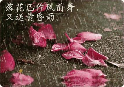 落花成殇