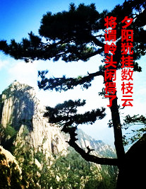 【东篱】山中有棵不老松（散文）