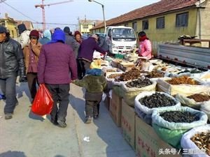 【丁香】菊村会到咧   走  咱跟会走（散文）