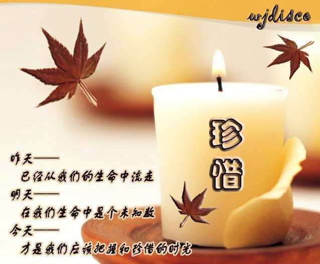 柳岸此日足可惜散文