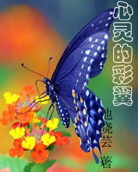 阳光和花朵都是对生活的温暖和歌唱