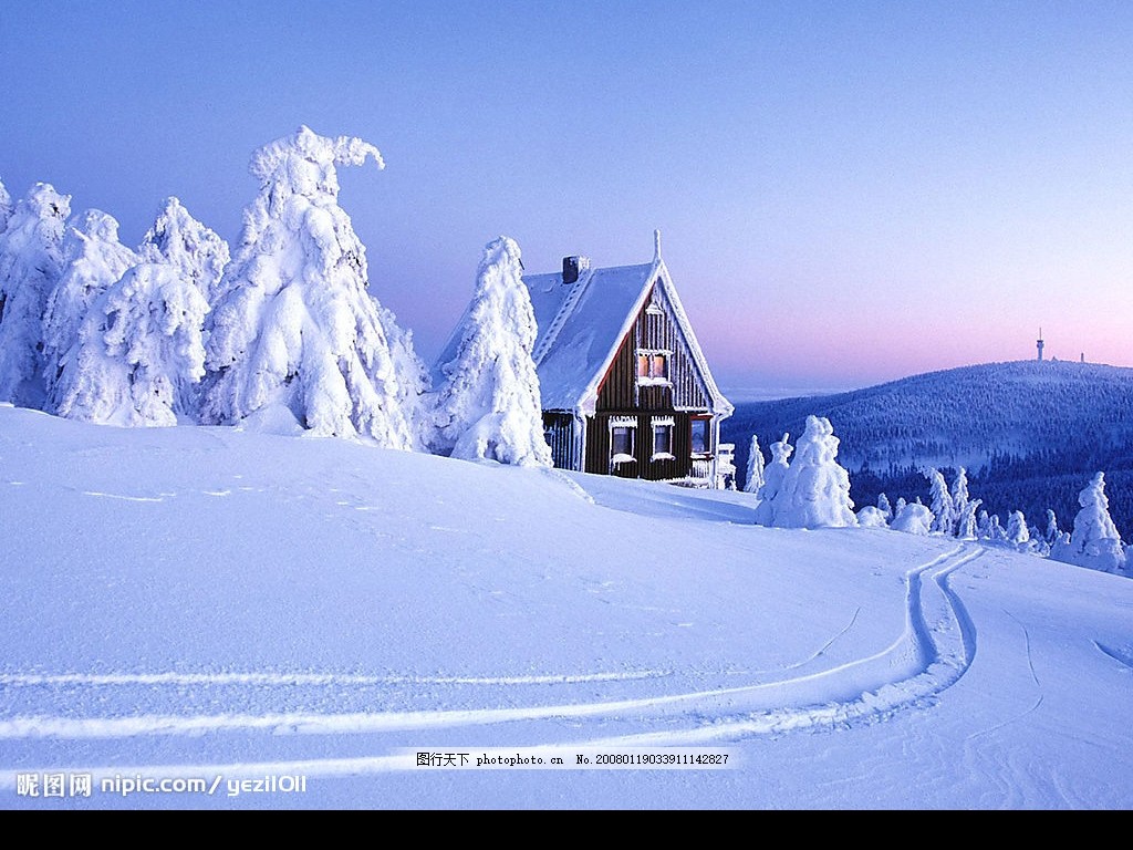 【丁香】初晴.白雪（外一首）（诗歌）