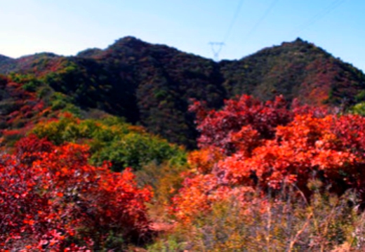 【天涯】七岭山手记    诗歌（外二首）