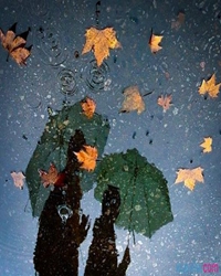【短文】秋雨