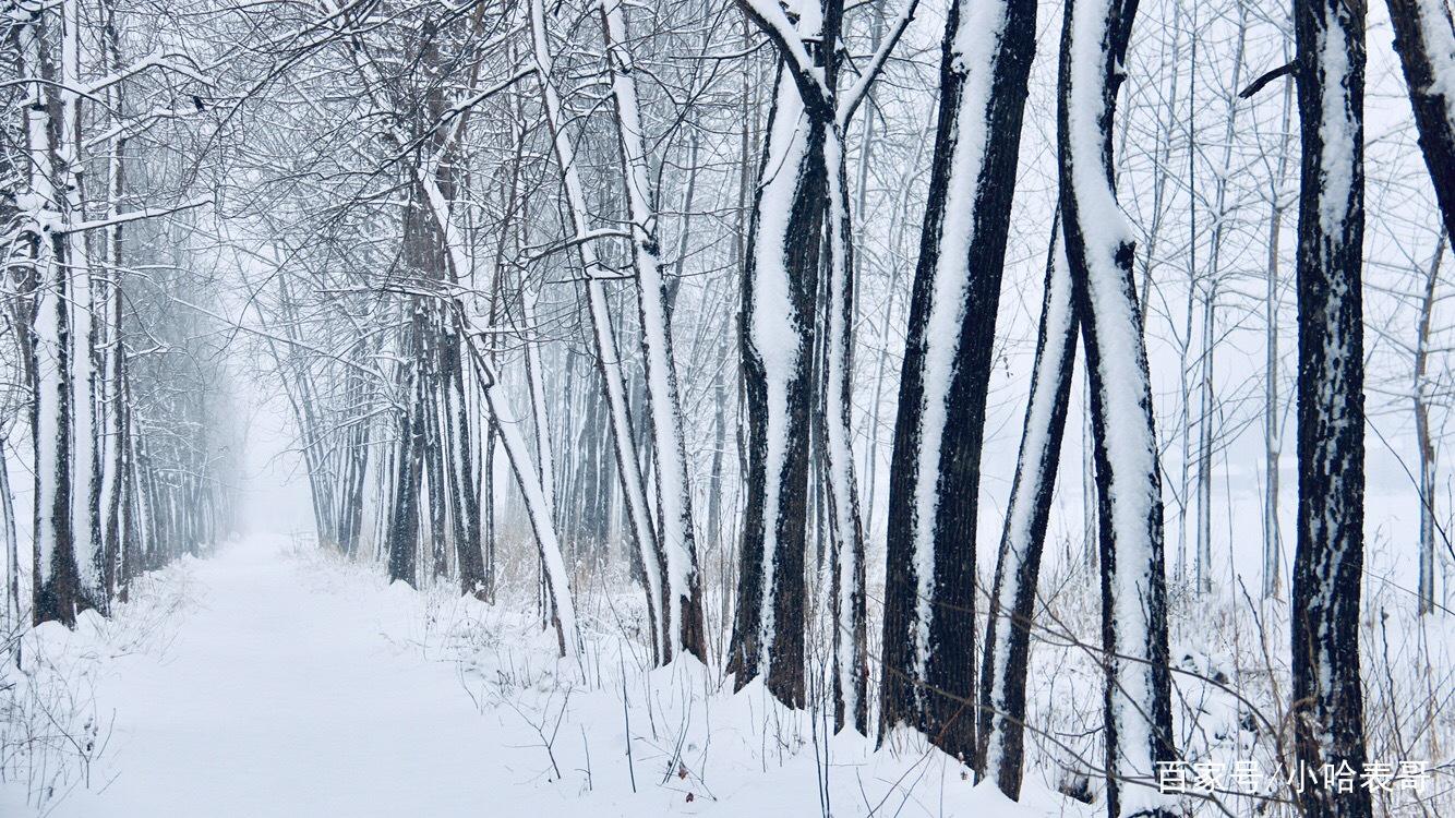 【凤凰】老家下雪了（外三首）